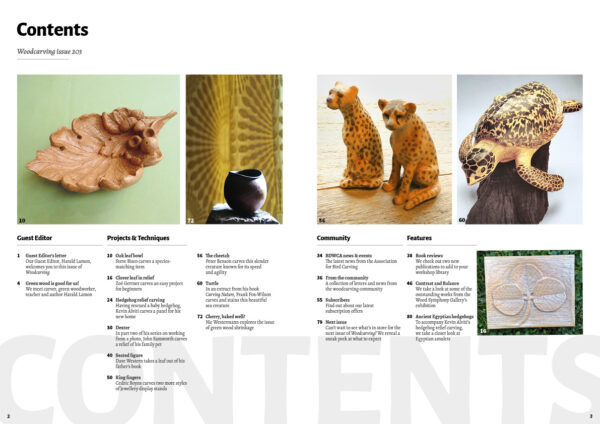 Woodcarving 203 Contents