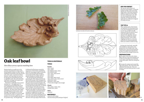 Woodcarving 203 Spread 1