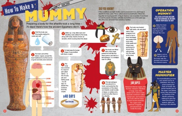 Factology 31 Spread 2